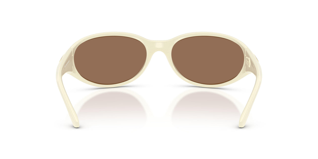 302973 - White - Dark Brown