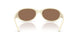 302973 - White - Dark Brown