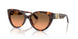 Michael Kors Catalina 2291U Sunglasses