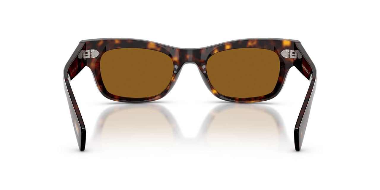 100953 - Tortoise - True Brown