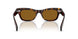 100953 - Tortoise - True Brown