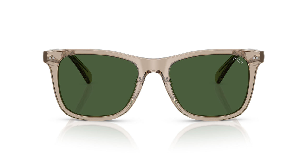620171 - Brown - Bottle Green