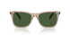 620171 - Brown - Bottle Green