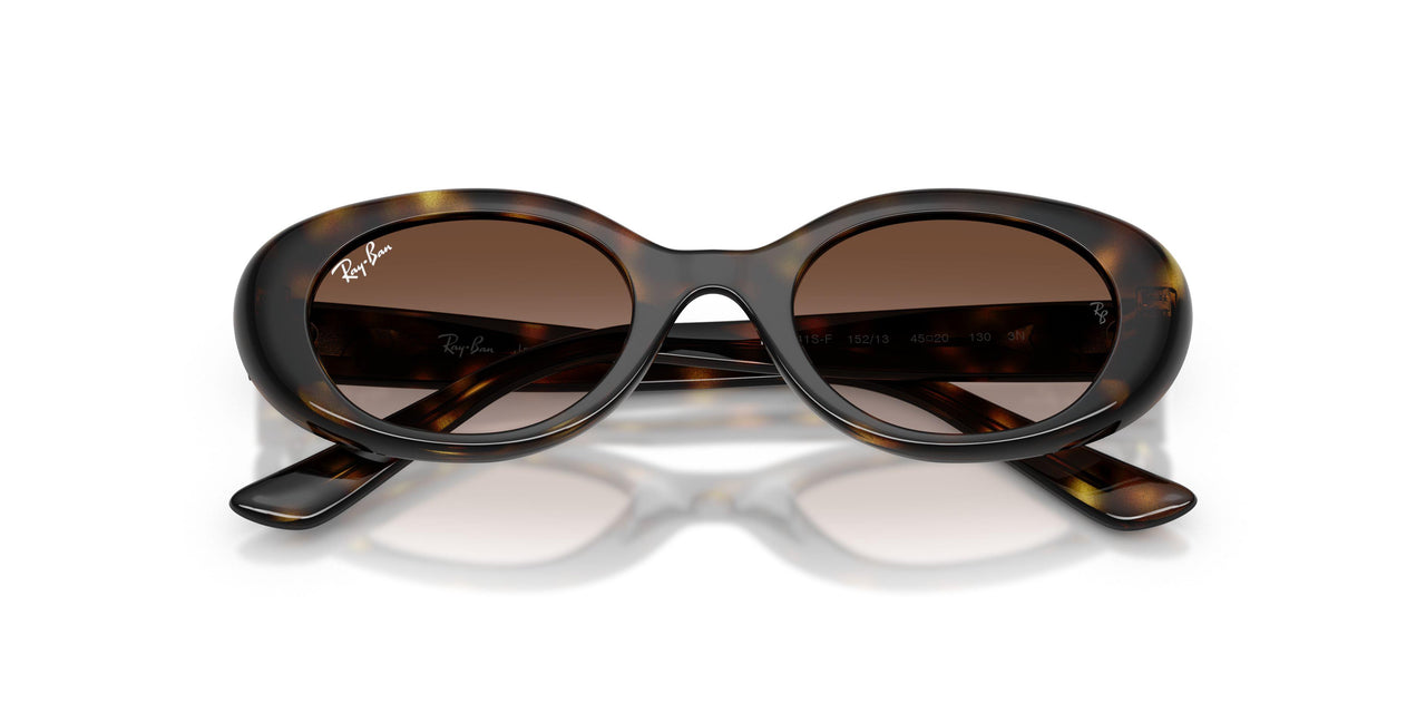 152/13 - Tortoise - Gradient Brown
