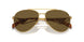 5AK01T - Gold - Dark Brown