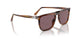 1157AF - Brown - Dark Violet Polar + Ar