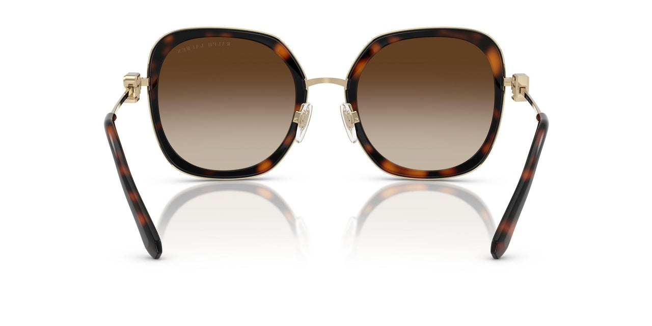 911613 - Brown - Gradient Brown
