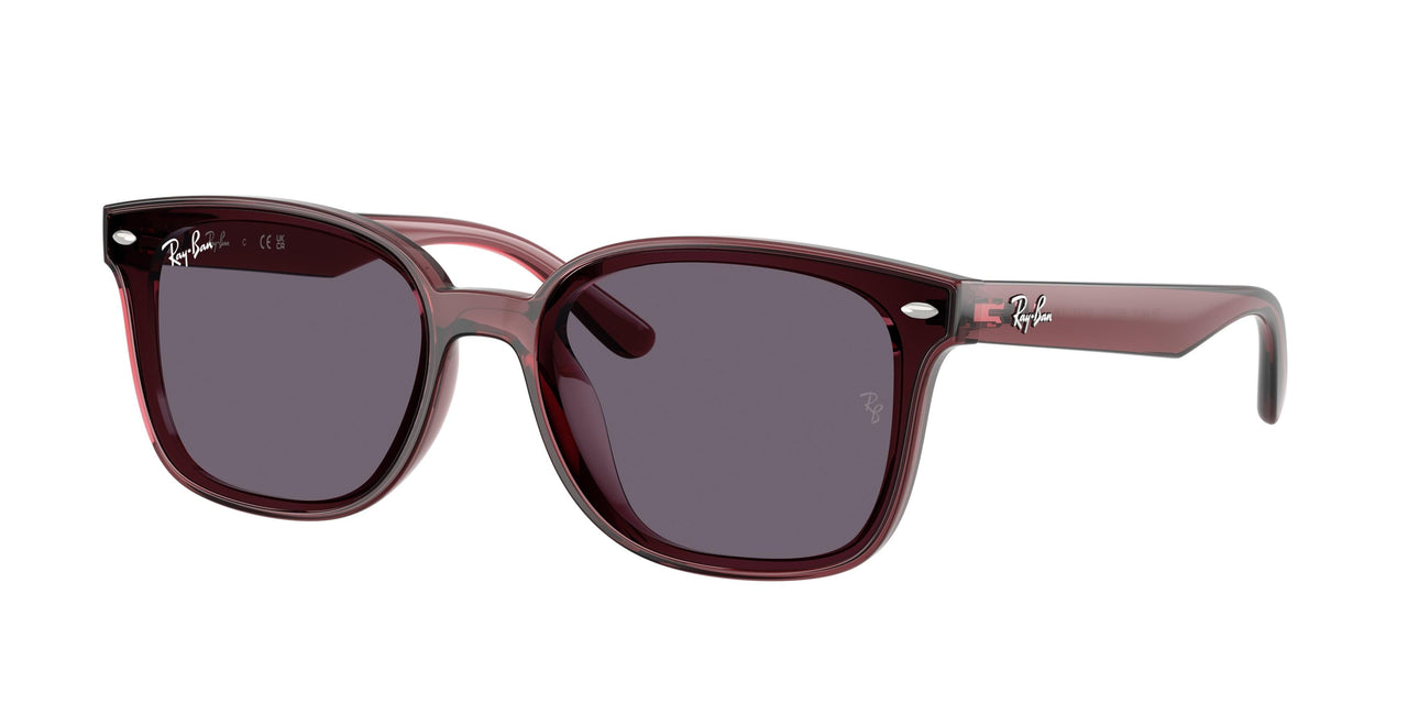 Ray-Ban 4461D Sunglasses