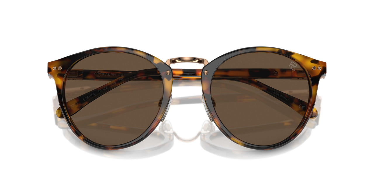 513453 - Tortoise - Brown