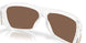 949203 - Transparent - Prizm 24k Polarized