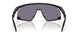 928025 - Black - Prizm Grey