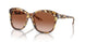 605613 - Tortoise - Gradient Brown