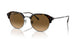 710/M2 - Tortoise - Brown