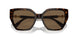 100273 - Brown - Dark Brown