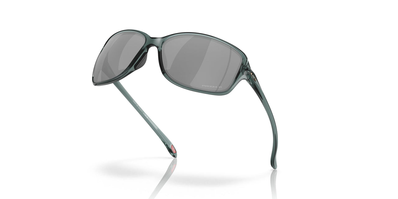 930108 - Prizm Black Polarized