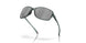 930108 - Prizm Black Polarized