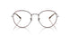 3174 - Tortoise - Clear