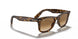 710/51 - Havana - Brown Gradient