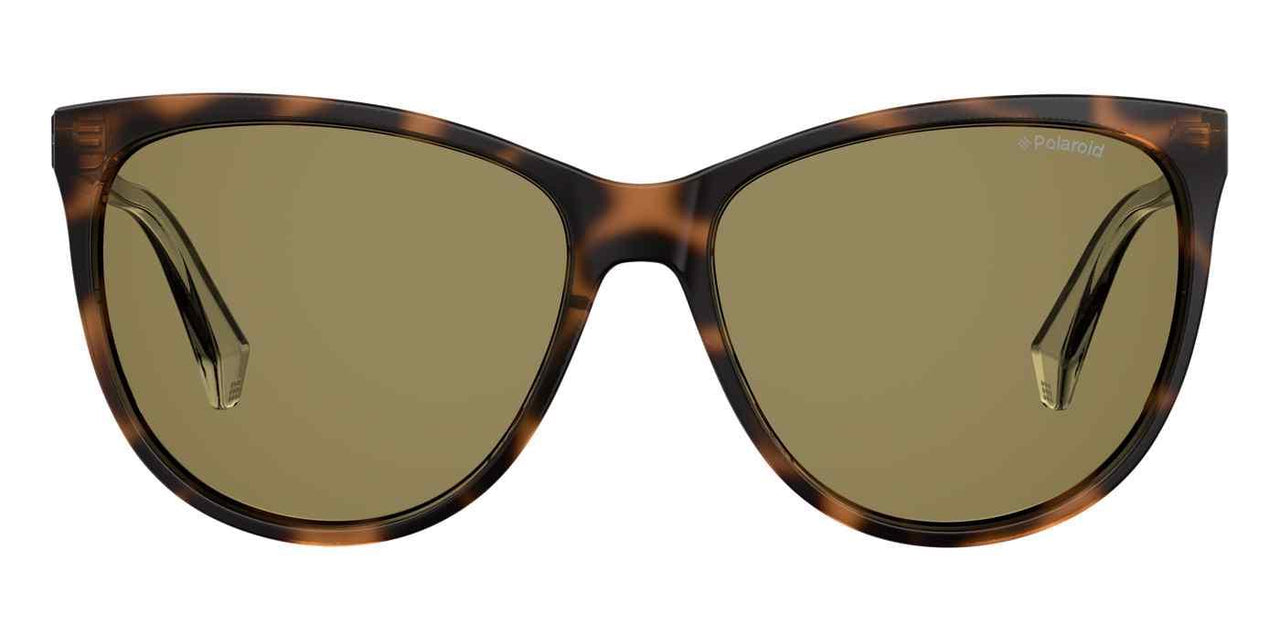 0086-LA - Dark Havana - Brown Gradient Polz Lens