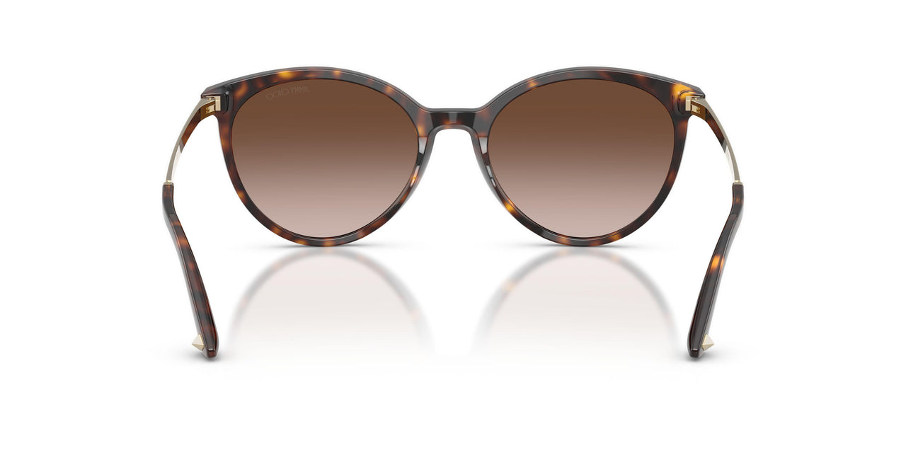 500213 - Tortoise - Gradient Brown