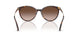 500213 - Tortoise - Gradient Brown