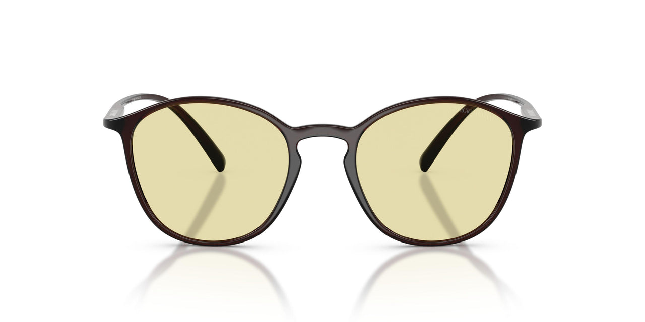 6239M4 - Brown - Photochromatic Brown