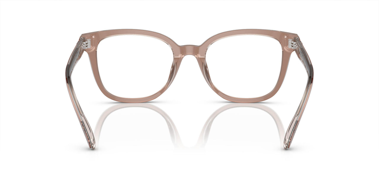 5779 - Brown