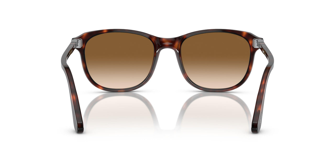 24/51 - Tortoise - Clear Gradient Brown