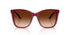 591274 - Violet - Gradient Brown
