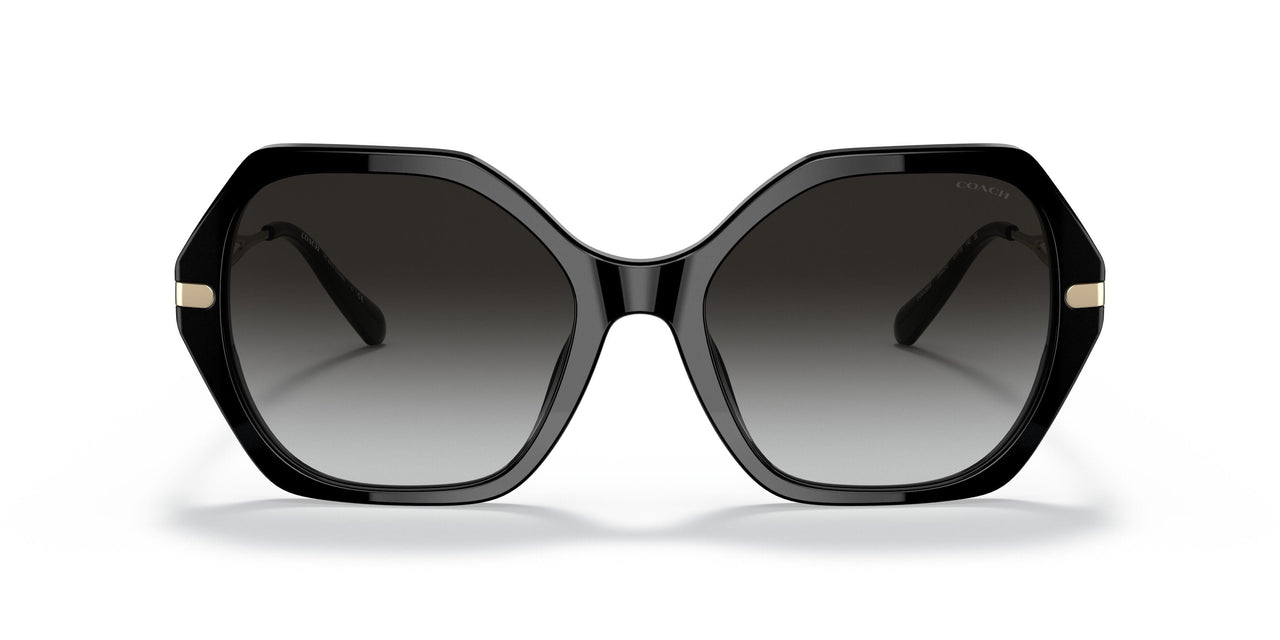 50028G - Black - Grey Gradient