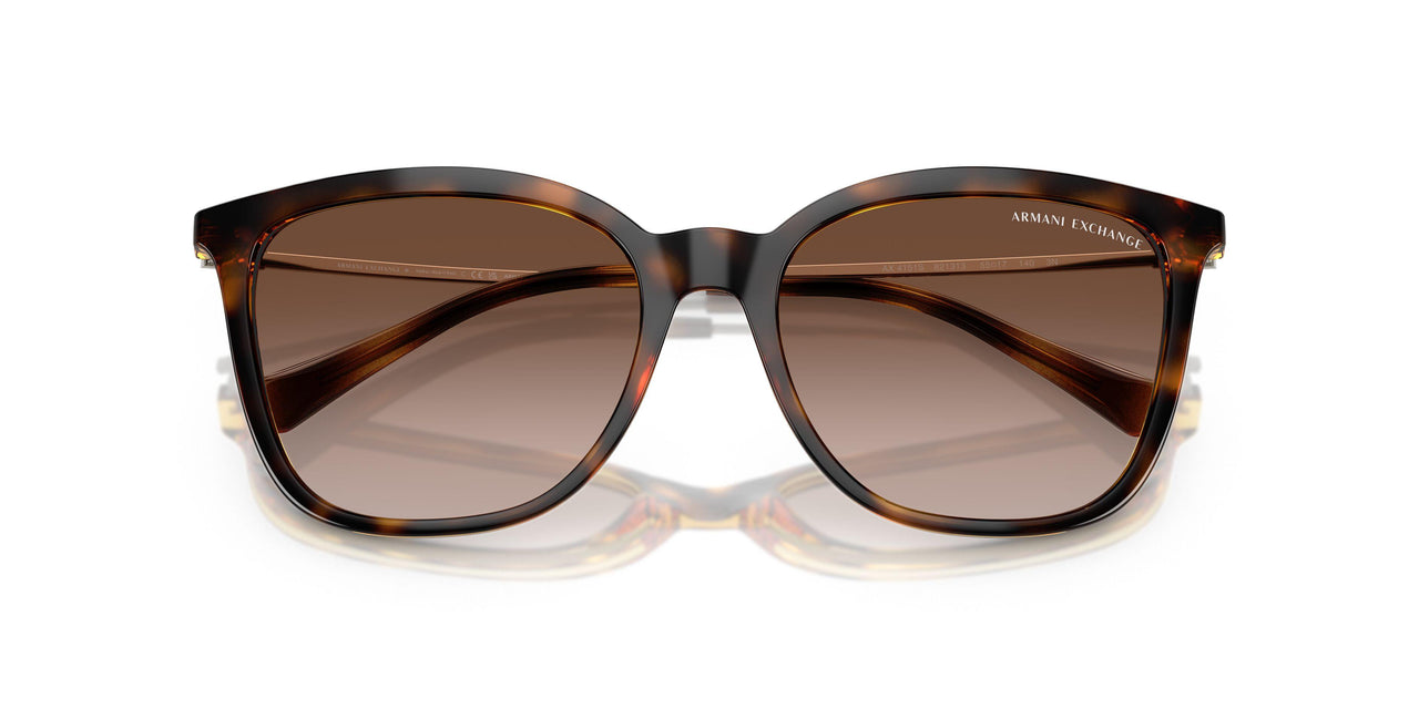 821313 - Tortoise - Brown Gradient Dark Brown