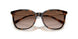 821313 - Tortoise - Brown Gradient Dark Brown