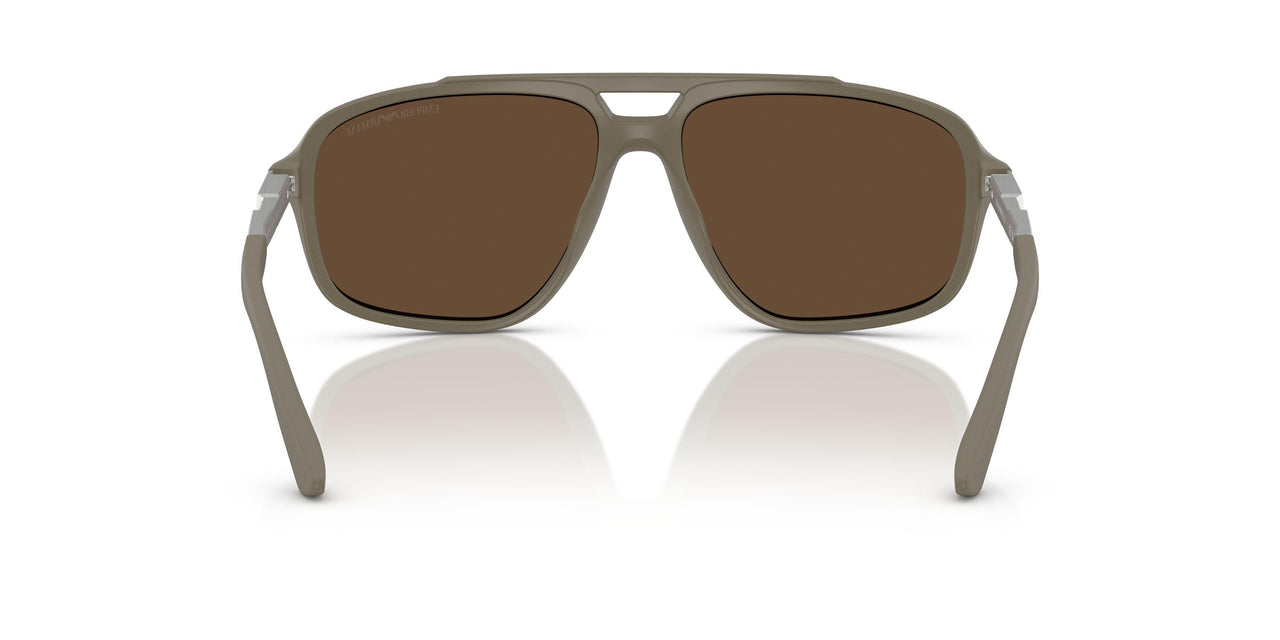 543773 - Brown - Dark Brown