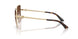 300613 - Gold - Brown Gradient