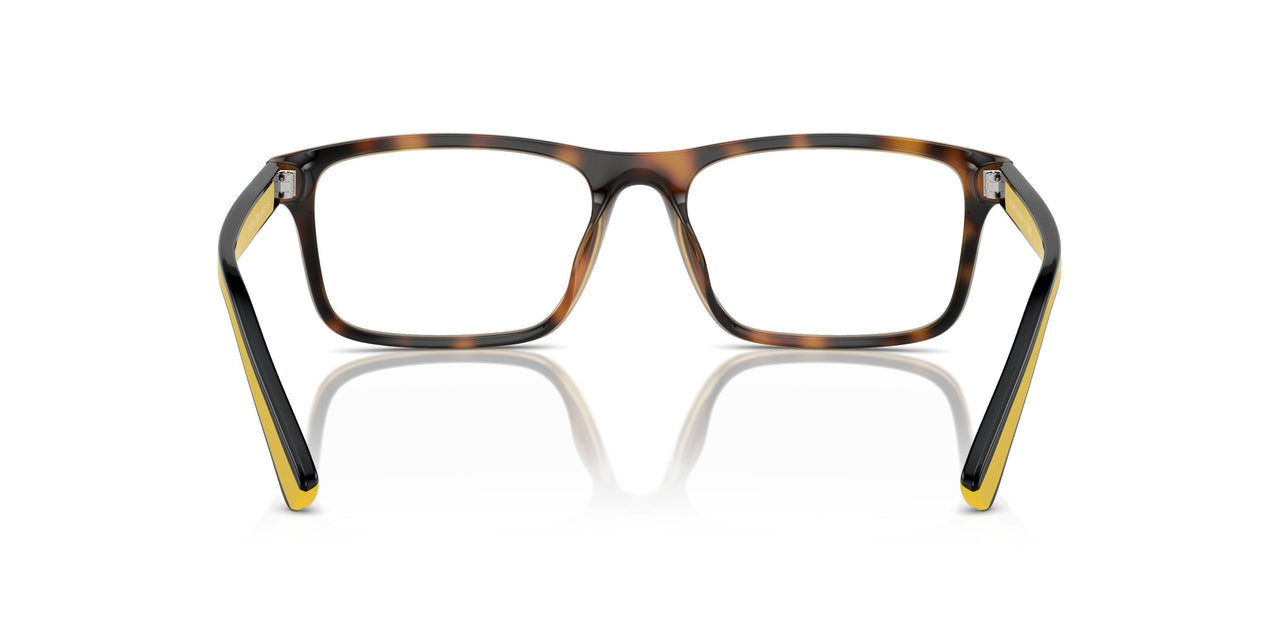 5003 - Tortoise