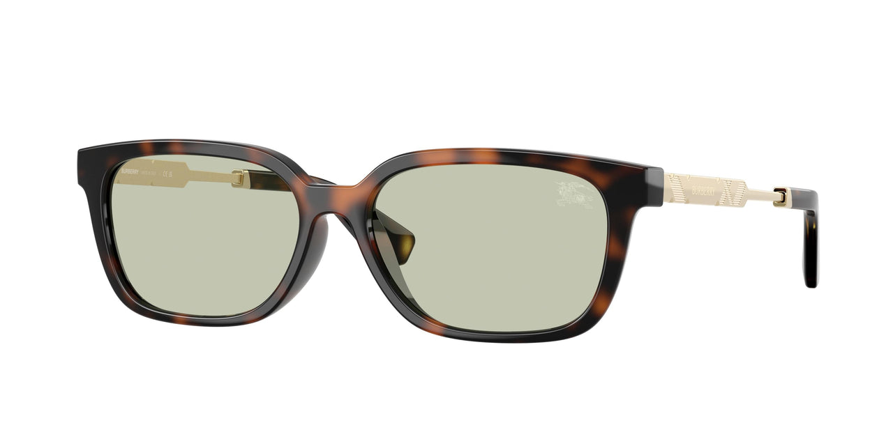 Burberry 4481D Sunglasses