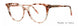 Vera Wang Aveline Eyeglasses