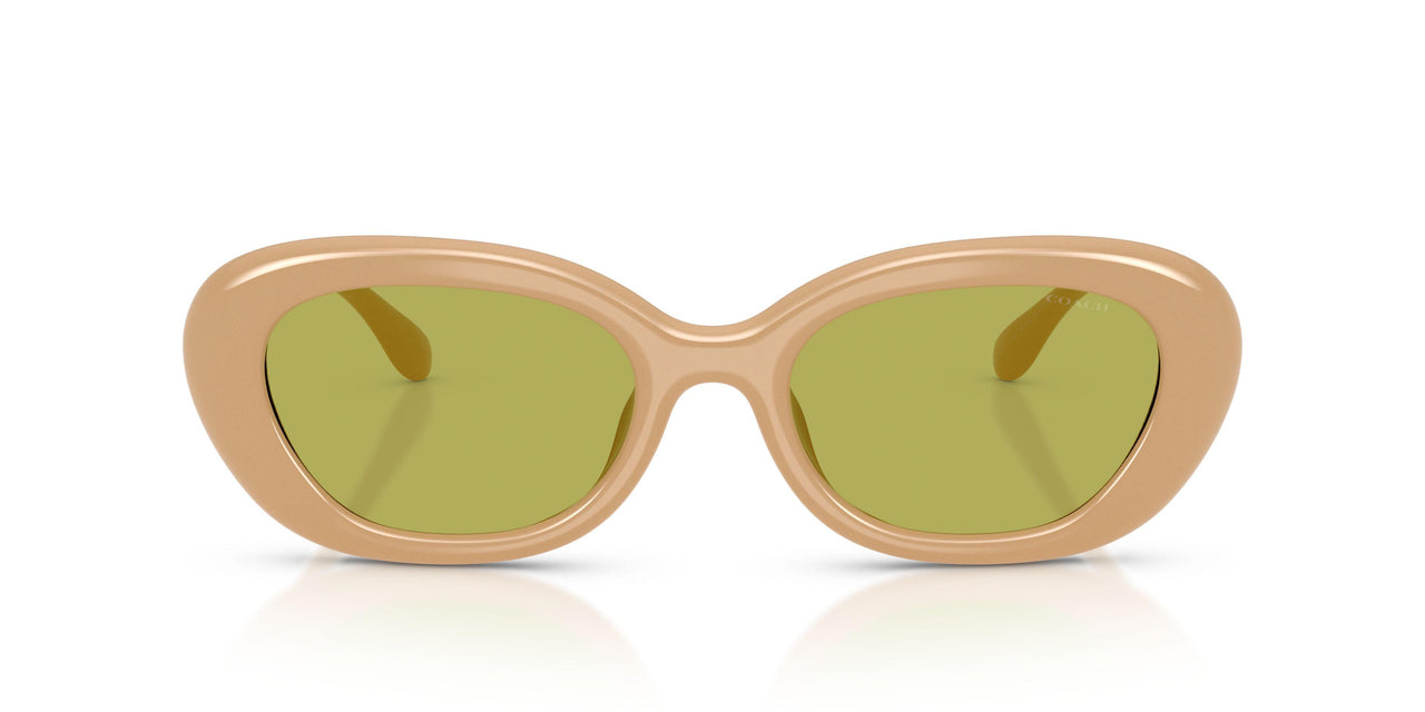 5929/2 - Pistachio