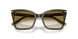 63788E - Green - Clear Gradient Dark Green