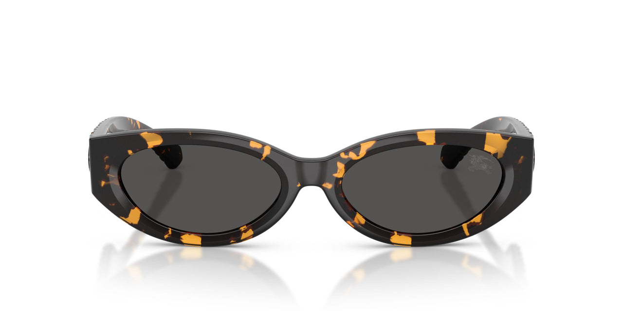 410687 - Tortoise - Dark Grey