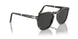 107148 - Tortoise - Polar Dark Grey