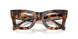 3904 - Tortoise