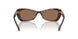 100273 - Tortoise - Dark Brown