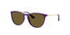 717973 - Violet - Dark Brown