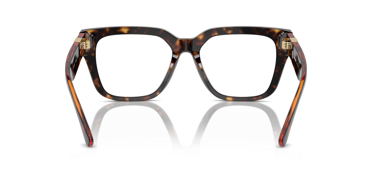 3002 - Brown