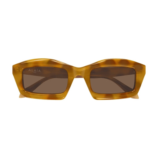 004 - Havana - Brown