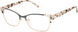 L.A.M.B. LA152 Eyeglasses