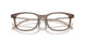 3019 - Brown