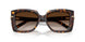 80153B - Tortoise - Brown Gradient
