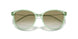 61078E - Green - Gradient Green